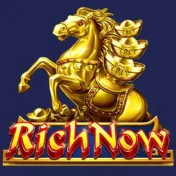 Neospin — Bonus Terms and Conditions